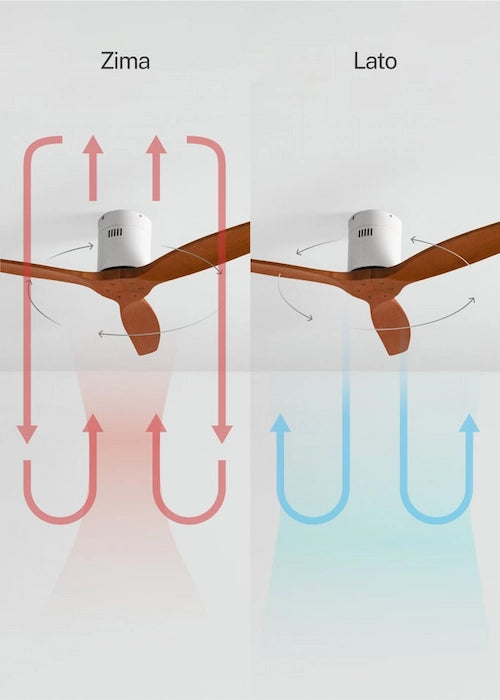 Comparison of summer and winter ceiling fans with airflow diagrams.