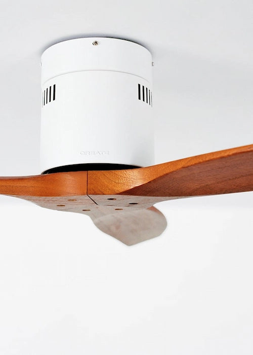 Ceiling fan with dark brown wooden blades and white light cylinder motor on a white background