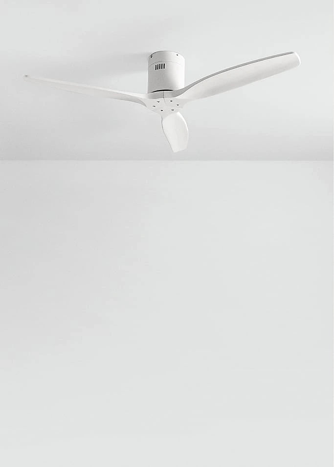 Ceiling fan mounted on a white ceiling