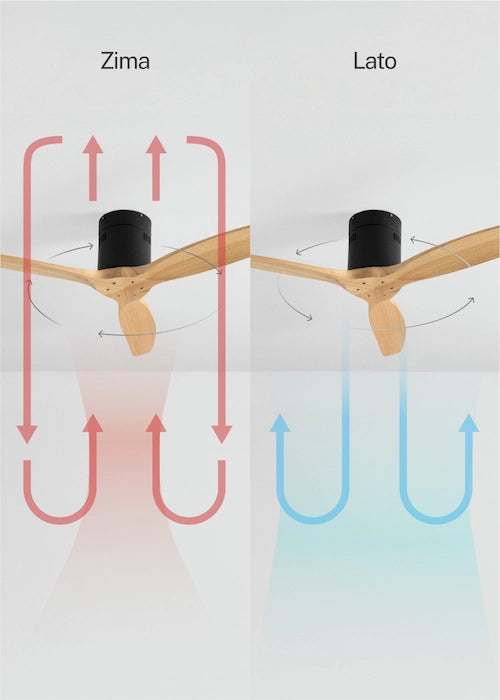 Comparison of winter and summer function of ceiling fan  with arrows indicating flow direction.